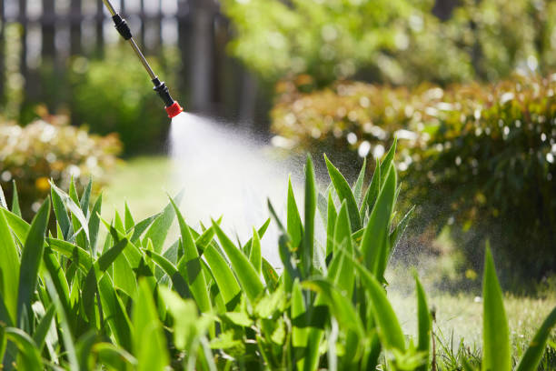24/7 Emergency Cockroach Control experts in Sunbury, OH